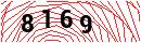 Security Verification