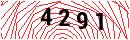 Security Verification