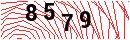 Security Verification