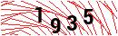 Security Verification