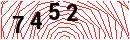 Security Verification