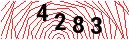 Security Verification