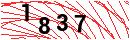 Security Verification