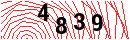 Security Verification