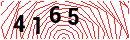 Security Verification