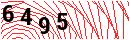 Security Verification