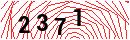 Security Verification