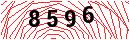 Security Verification