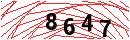 Security Verification