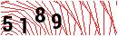 Security Verification