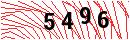 Security Verification