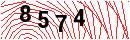 Security Verification