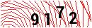 Security Verification