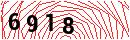 Security Verification