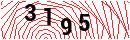 Security Verification