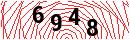 Security Verification