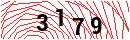 Security Verification