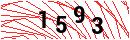 Security Verification