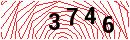 Security Verification