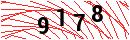 Security Verification
