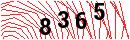 Security Verification