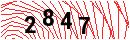 Security Verification