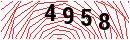Security Verification
