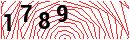 Security Verification