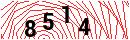 Security Verification