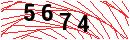Security Verification