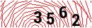 Security Verification