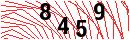 Security Verification