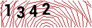 Security Verification