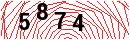 Security Verification