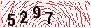 Security Verification