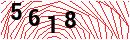 Security Verification