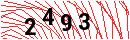Security Verification