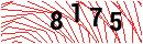 Security Verification