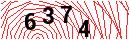 Security Verification