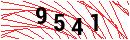 Security Verification