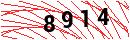 Security Verification