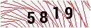 Security Verification