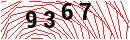 Security Verification