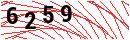 Security Verification