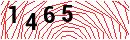 Security Verification
