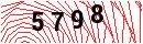 Security Verification