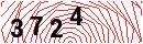 Security Verification