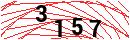 Security Verification