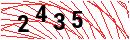 Security Verification