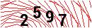 Security Verification